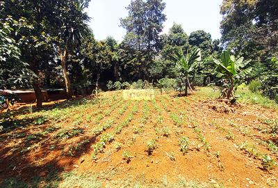 0.3664 ac Land in Lavington - 3
