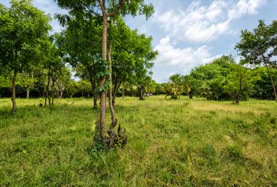 22 ac Land at Kondutsi - 2
