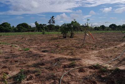 13 ac Land at Majaoni - 2