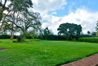 0.125 ac Residential Land in Ruiru