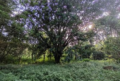 Commercial Land at Ruaka Road - 3