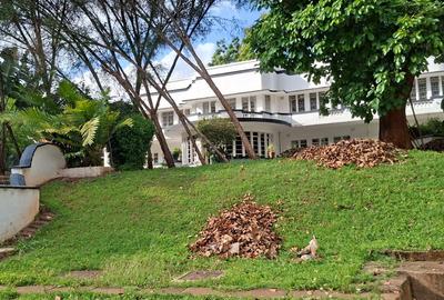 Commercial Property with Fibre Internet in Westlands Area - 4