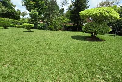 5 Bed House with En Suite in Runda - 2