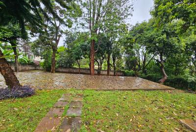 Commercial Property with Parking in Gigiri - 2