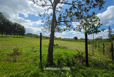 0.75 ac Land in Runda - 3