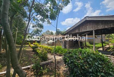 Commercial Property with Parking in Karen