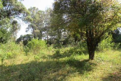 9 ac Land at Karen - 2