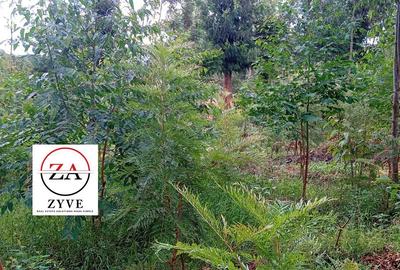 0.125 ac Land at Kasphat Estate