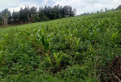 0.75 ac Land at Kibiko Ngong