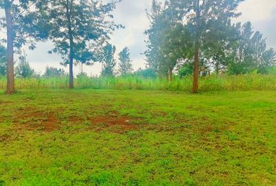 500 m² Residential Land at Oaklands Estate - 4