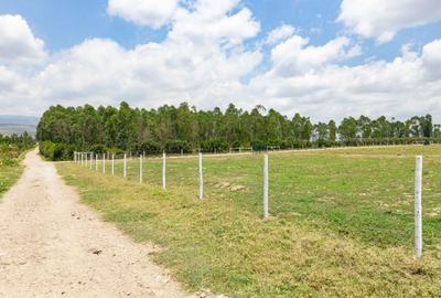 Land at Moi South Lake Road