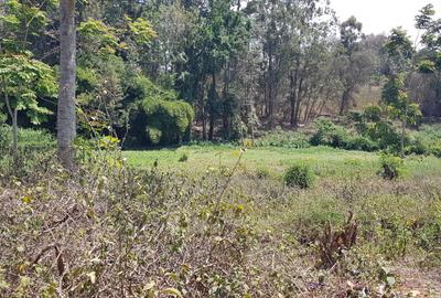 Residential Land at Flem Tree Off Ruaka Road - 3