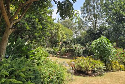 5 Bed Townhouse with En Suite in Rosslyn - 4