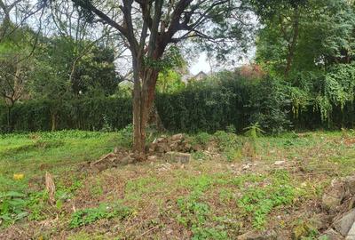 Land in Lavington