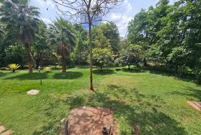 Commercial Property with Backup Generator in Westlands Area