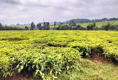 Land at Kiambu