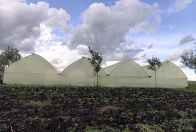 10.75 ac Land at Kisaju - 2