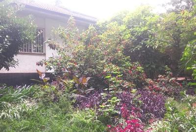 0.65 ac Residential Land at Off Mbaazi Avenue - 4