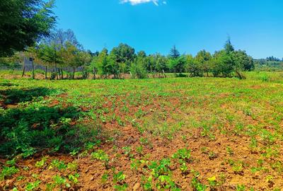 500 m² Residential Land at Runana Area