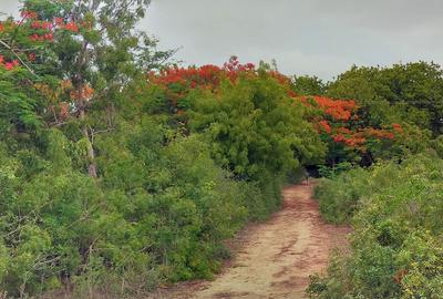 Land in Vipingo