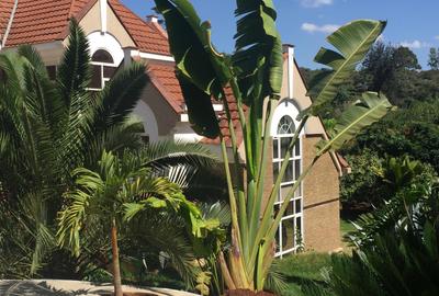 6 Bed Villa with En Suite in Muthaiga - 2