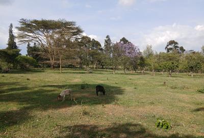 0.114 ac Land in Nyeri - 4