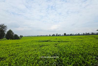 995 ac Land in Tigoni - 3