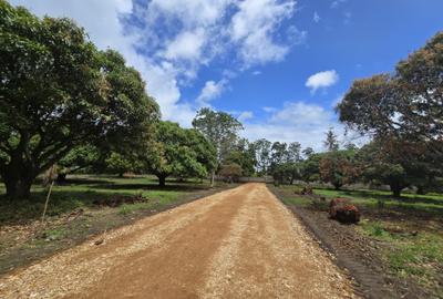 Land at Mombasa Malindi Highway