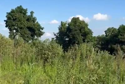 4 ac Land at Riara Ridge - 3