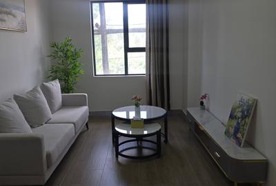 Furnished Studio Apartment with En Suite in Juja - 2