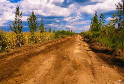 0.23 ac Land at Ngata - 3