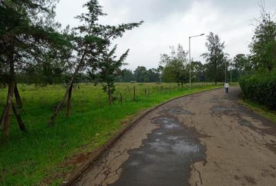 Land at Karen Road