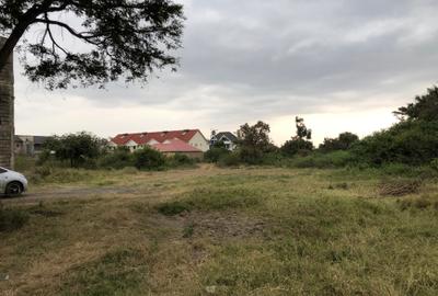 1.25 ac Land at Kamakis