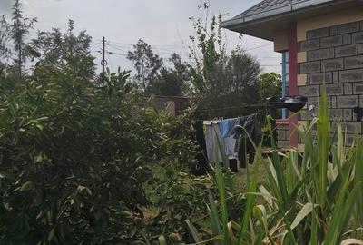 4 Bed House with Garden in Kamulu - 2