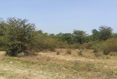 Commercial Land in Ruiru