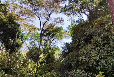 2.3 ac Land at Giraffe Centre - 2