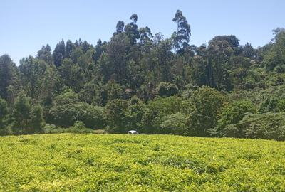 0.5 ac Residential Land in Tigoni - 3