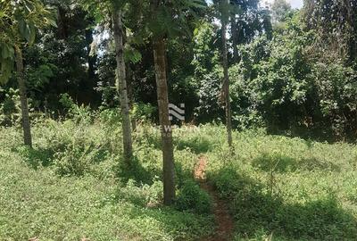 2.2 ac Land in Ngong