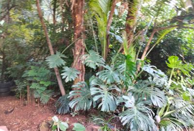 0.70 ac Land in Westlands Area - 2