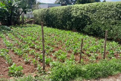 Land at Gacharage - 4