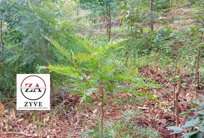 0.125 ac Land at Kasphat Estate - 2