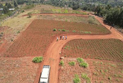 0.05 ft² Land at Boroti