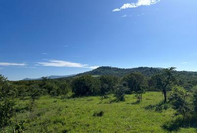 30.3 ac Land at Lolldaiga Valley - 2