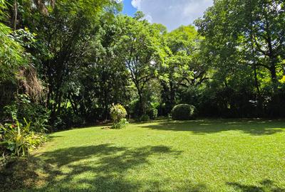 5 Bed House with En Suite in Gigiri - 4