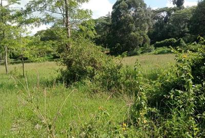 5 ac Land at Karen