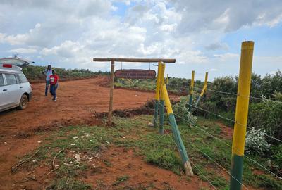 0.05 ha Land at Nachu Sgr - 4