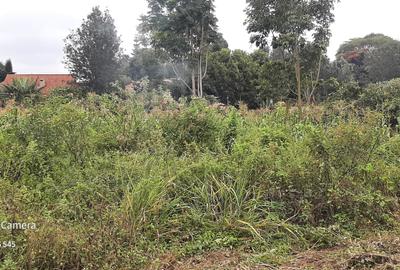 Commercial Property in Nyari - 3