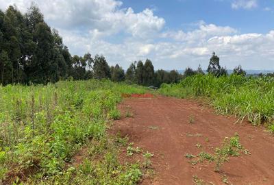 0.05 ha Residential Land in Kikuyu Town