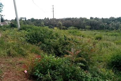 5 ac Land at Rhino Park Road - 2