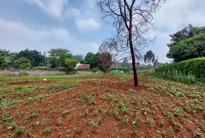 Residential Land at Pan African Insurance Avenue